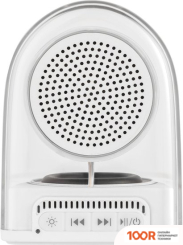 Беспроводная колонка Indivo GRAVITUNE (БЕЛЫЙ) (332309)