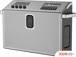 Беспроводная колонка Defunc MONDO BT SPEAKER LARGE (СЕРЕБРИСТЫЙ) (332071)