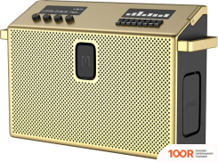 Беспроводная колонка Defunc MONDO BT SPEAKER LARGE (ЛАТУННЫЙ) (332070)