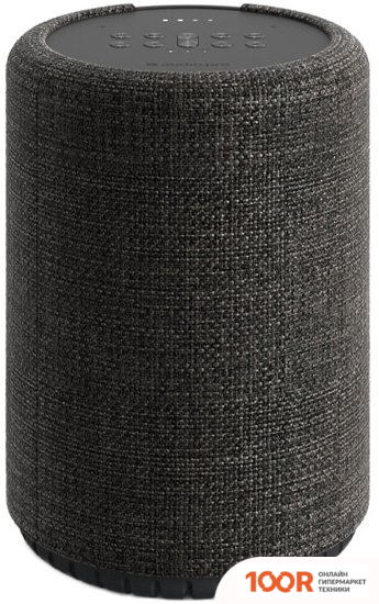 Беспроводная колонка Audio Pro G10 (ТЕМНО-СЕРЫЙ) (332040)