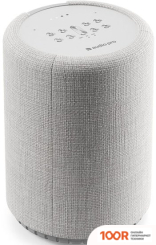 Беспроводная колонка Audio Pro G10 (СВЕТЛО-СЕРЫЙ) (332039)