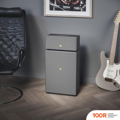 Беспроводная колонка Audio Pro DRUMFIRE II (СЕРЫЙ) (332037)