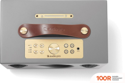 Беспроводная колонка Audio Pro ADDON C5A (СЕРЫЙ) (332009)