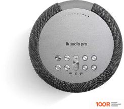 Беспроводная колонка Audio Pro A10 (ТЕМНО-СЕРЫЙ) (331989)