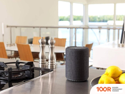 Беспроводная колонка Audio Pro A10 (ТЕМНО-СЕРЫЙ) (331989)