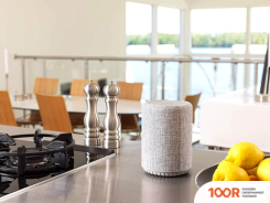 Беспроводная колонка Audio Pro A10 (СЕРЫЙ) (331988)