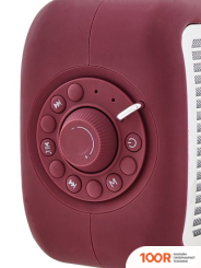 Беспроводная колонка Alive Audio JOURNEY (БОРДОВЫЙ) (331930)