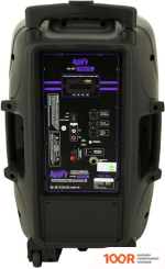 Беспроводная колонка Acury AS-15T (331913)