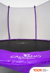 Батут Calviano OUTSIDE MASTER PURPLE 252 СМ - 8FT (ВНЕШНЯЯ СЕТКА, С ЛЕСТНИЦЕЙ) (331626)