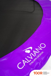 Батут Calviano INSIDE MASTER PURPLE 252 СМ - 8FT (ВНУТРЕННЯЯ СЕТКА, С ЛЕСТНИЦЕЙ) (331612)