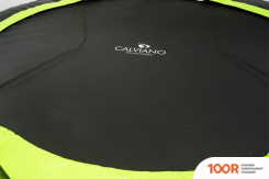Батут Calviano INSIDE MASTER GREEN 252 СМ - 8FT (ВНУТРЕННЯЯ СЕТКА, С ЛЕСТНИЦЕЙ) (331609)