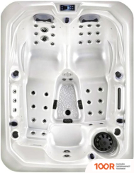 Бассейн Gulfstream ARGO 213X165X87.5 (БЕЛЫЙ) С ДЖАКУЗИ (331383)