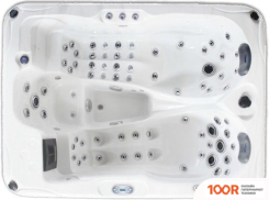 Бассейн Delfi Spa NERIDA 210X160X90 (БЕЛЫЙ) С ДЖАКУЗИ (331231)