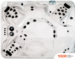 Бассейн Arctic Spa SUMMIT XL 235X293X98 LEGEND SELECT С ДЖАКУЗИ (331187)