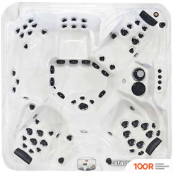 Бассейн Arctic Spa SUMMIT 235X235X98 LEGEND SELECT С ДЖАКУЗИ (331183)