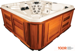 Бассейн Arctic Spa SUMMIT 235X235X98 LEGEND SELECT С ДЖАКУЗИ (331183)