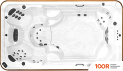 Бассейн Arctic Spa OCEAN 436X236X129 LEGEND С ДЖАКУЗИ (331180)