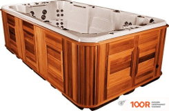 Бассейн Arctic Spa OCEAN 436X236X129 EPIC С ДЖАКУЗИ (331179)