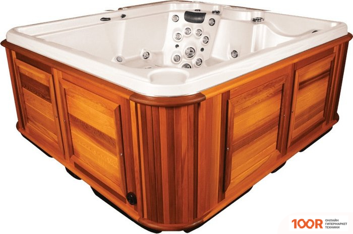 Бассейн Arctic Spa FRONTIER 217X235X98 SIGNATURE С ДЖАКУЗИ (331174)