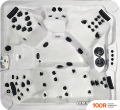 Бассейн Arctic Spa FRONTIER 217X235X98 LEGEND С ДЖАКУЗИ (331173)
