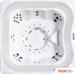 Бассейн Allseas Spa RIVER FLOW SQUARE 240X240X97 (БЕЛЫЙ) С ДЖАКУЗИ (331145)