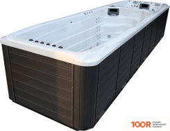 Бассейн Allseas Spa POSEIDON DUO ELITE 800X225X152 (БЕЛЫЙ) С ДЖАКУЗИ (331140)