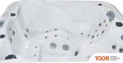 Бассейн Allseas Spa DS 101 200X64X82 (БЕЛЫЙ) С ДЖАКУЗИ (331130)