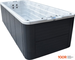 Бассейн Allseas Spa ASW 5500 SUPERIOR 550X225X152 (БЕЛЫЙ) С ДЖАКУЗИ (331128)