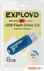 USB Flash Exployd 650 8GB (СИНИЙ) (329748)