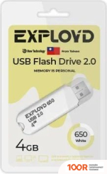 USB Flash Exployd 650 4GB (БЕЛЫЙ) (329742)