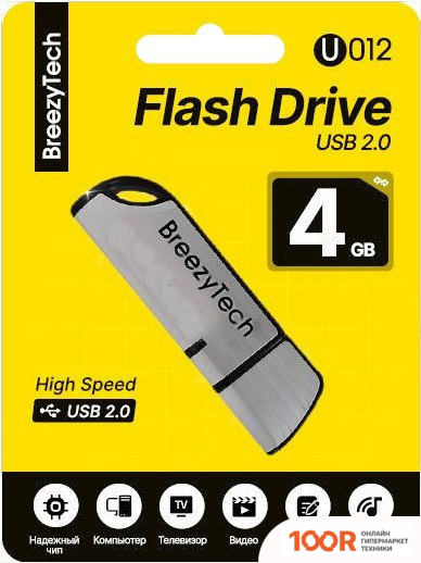 USB Flash BreezyTech U012 4GB (СЕРЕБРИСТЫЙ/ЧЕРНЫЙ) (329666)