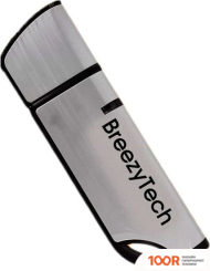 USB Flash BreezyTech U012 32GB (СЕРЕБРИСТЫЙ/ЧЕРНЫЙ) (329664)