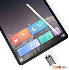 USB Flash Adam Elements IKLIPS C 256GB (СЕРЫЙ) (329630)