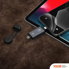 USB Flash Adam Elements IKLIPS C 256GB (СЕРЫЙ) (329630)