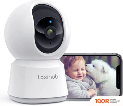 IP-камера Laxihub P2T (329105)