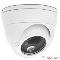 IP-камера AVTech AVN420P FAVORITE (328640)