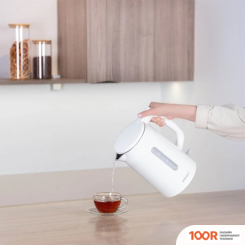 Scarlett SC-EK21S31 (326430)