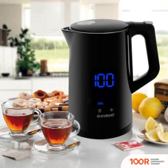 Endever SKYLINE KR-258S (324073)