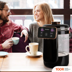 Endever ALTEA-2075 (ЧЕРНЫЙ) (324046)