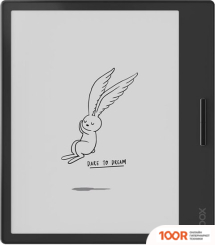 Onyx BOOX PAGE (323065)