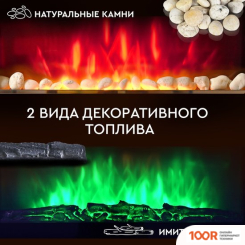 Planta PFP-INS040 MULTICOLOR (322498)