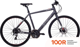 Planta PFP-INS040 MULTICOLOR (322498)