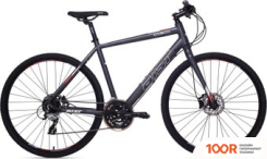 Planta PFP-INS040 MULTICOLOR (322498)