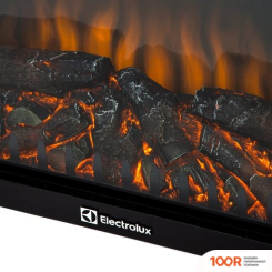 Electrolux EFP/P-2520LS N (322294)