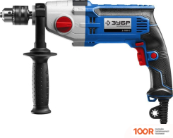 Зубр Д-П900-2 (322239)