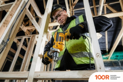 DeWalt DWD024K (КЕЙС) (321914)