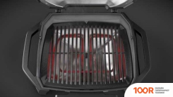 Weber PULSE 1000 (321737)