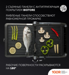 Polaris PGP 2102 (321543)