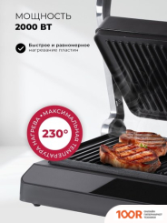 LEX LXGR 5006 (321456)