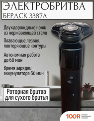 Электроприборы-БЭМЗ БЕРДСК 3387А (321087)